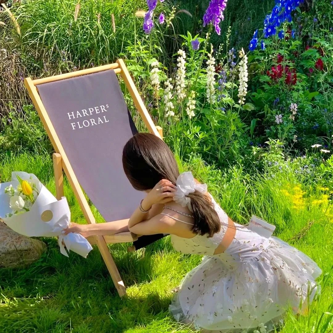 美少女战士Crystal第一季